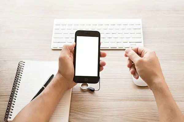 英文培训机构做什么课程